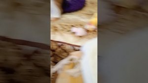Как мы проводим вечер с Катюшей