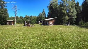 Медведь доедает лося. Кадры с фотоловушки. 3 серия