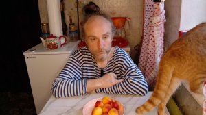 Перекус с котями. И почему Ютуб пропускает такое. Мукбанг. Обжор. Еда на камеру. Диета. Шизофрения.