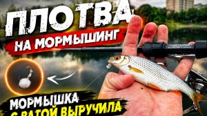 Плотва на мормышинг