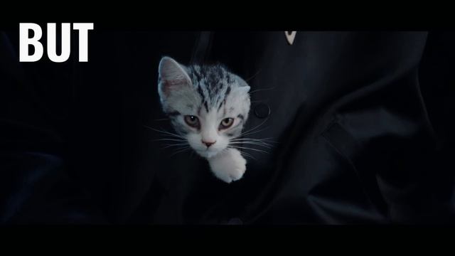 У меня есть другие видео ❣️ смотреть онлайн