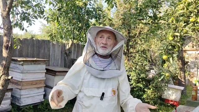 26 июля и ПЧЁЛЫ и МЁД смотреть онлайн