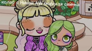 коллаб с Никой AW морские свинки