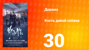 Кость дикой собаки 30 серия