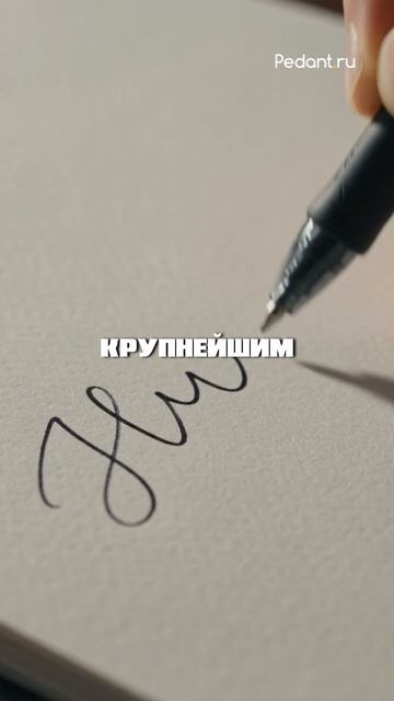 Ты точно этого не знал💯 смотреть онлайн