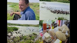 Наш день в деревне .Гоним гусей ,уток купаться.Наши покупки .Обед на природе.