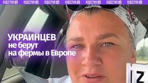 «Мы хуже Гондураса?!»: украинцев перестали брать на фермы в Европе – рассказ из первых уст