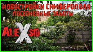Новостроки Симферополя и повседневная жизнь
