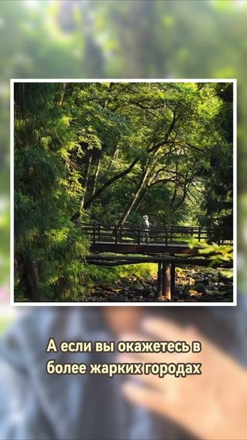 Китайское лето для иностранцев