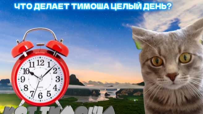 ТИПИЧНЫЙ ДЕНЬ КОТА ТИМОФЕЯ ' БЛОГ ТИМОШИ СЕРИЯ 1 смотреть онлайн