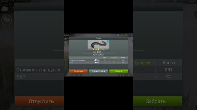 где получать серебряные монеты в My Fishing World
