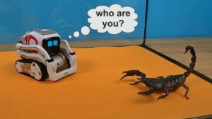 Робот Anki Cozmo напал на Скорпиона и чуть его не раздавил
