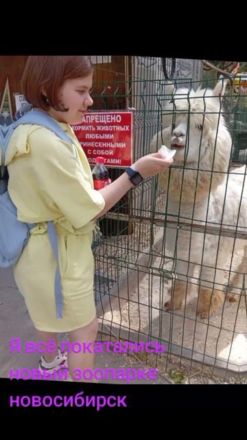 #новосибирск