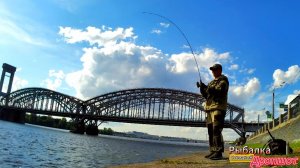 КЛЁВ НА ДРОПШОТ ОТВОДНОЙ ОКУНЬ ПЛОТВА УКЛЕЙКА НЕВА РЕКА ЗАРОСЛА ТРАВОЙ ОТ БЕРЕГА МЕТРОВ 30 СТОИТ ЛЕС
