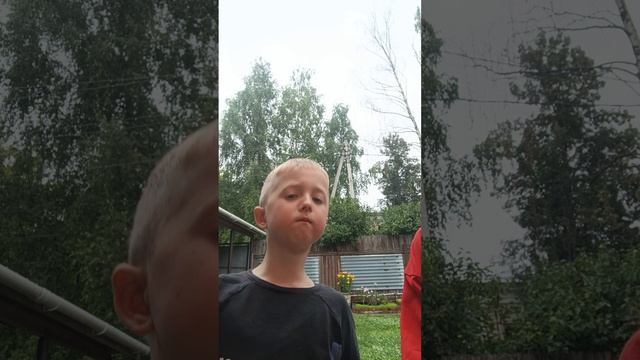 229.mp4 смотреть онлайн