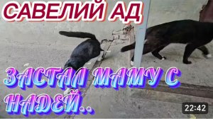 САМВЕЛ АДАМЯН, САВЕЛИЙ АД, ЗАСТАЛ МАМУ С НАДЕЙ..