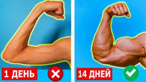 Накачай большие РУКИ за 14 дней (ДОМА, С ОБОРУДОВАНИЕМ)