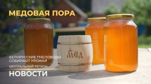 Новости. Центральный регион | Акценты уборочной кампании-2026 | Потенциал региона | Медовая пора