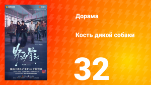 Кость дикой собаки 32 серия