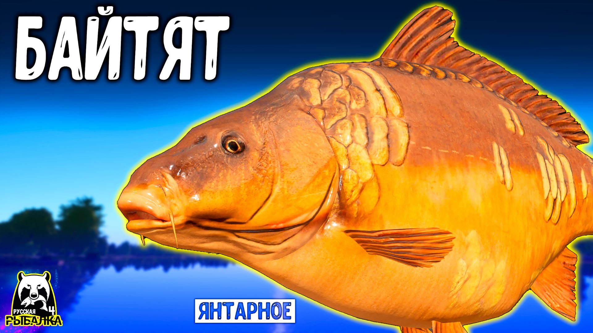 Эти карпы на ЯНТАРКЕ нас забайтили #рр4 смотреть онлайн