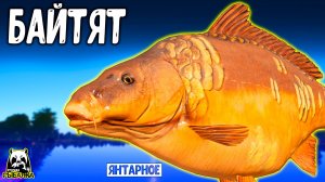 Эти карпы на ЯНТАРКЕ нас забайтили #рр4