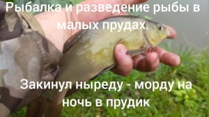 Закинул ныреду - морду на ночь в прудик.