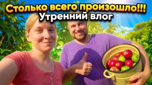 Столько всего произошло!!! Утренний влог!