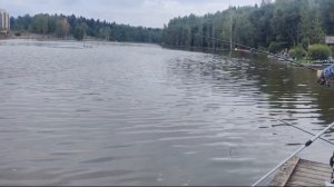 поимка карпа
