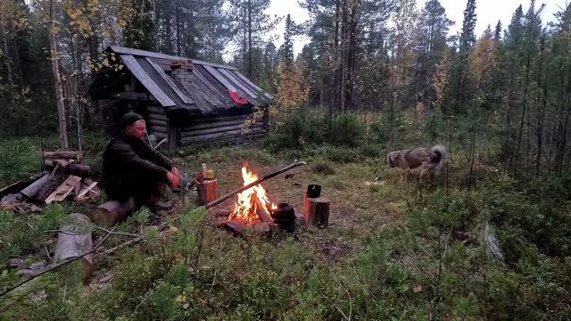ДОБЫЛИ МЯСО. СТРАННЫЕ ЗВУКИ У ИЗБЫ. ИЗБА НА КРАЮ СВЕТА. СБОР КЛЮКВЫ. ТАЁЖНЫЙ БЫТ