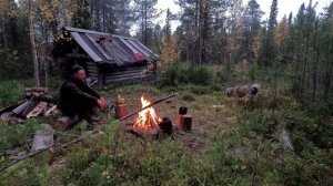 ДОБЫЛИ МЯСО. СТРАННЫЕ ЗВУКИ У ИЗБЫ. ИЗБА НА КРАЮ СВЕТА. СБОР КЛЮКВЫ. ТАЁЖНЫЙ БЫТ