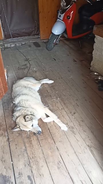 Тридцать в тени...Такая погода.