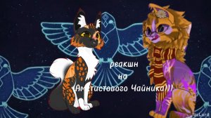 Кусь на Аметист0