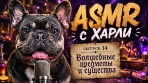 Мультики для детей. АСМР №14: Волшебные предметы и существа 🎧✨
