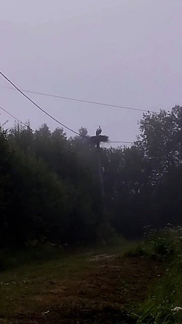 Параллельные миры...