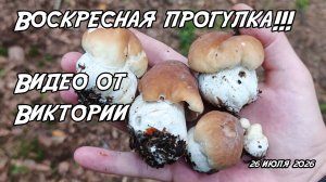 Воскресная прогулка!!! Видео от Виктории. 26.07.26
