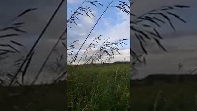 РОЛИК ОТ ЛЮДМИЛЫ... ИНГА ХОСРОЕВА. смотреть онлайн