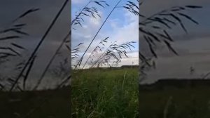 РОЛИК ОТ ЛЮДМИЛЫ... ИНГА ХОСРОЕВА.