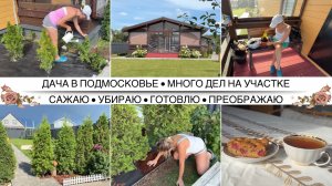 ПРЕОБРАЖАЮ УЧАСТОК НА ДАЧЕ 🌿 Делаю клумбу своими руками 🌿 Красивая покупка в дом 🌿 Пирог из ягод