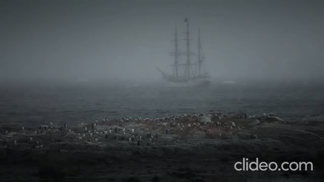 Harbor Lights Don't Lie - Steve Franey смотреть онлайн