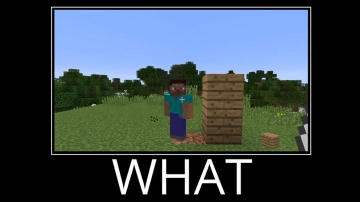 Minecraft WAIT WHAT meme смотреть онлайн