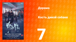 Кость дикой собаки 7 серия