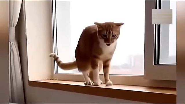 Всячинки смотреть онлайн