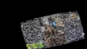 RVA: A̵͕ͅ3̷S̨̥͉p͍͙͏r̺̞in̤g̨̙̞2͠0̺̫2̵̜6͎͞.avi