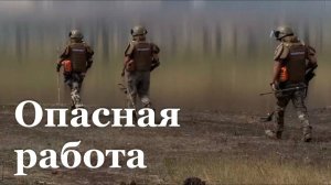Еще полторы тысячи гектаров земли разминирую в исторических регионах до конца года