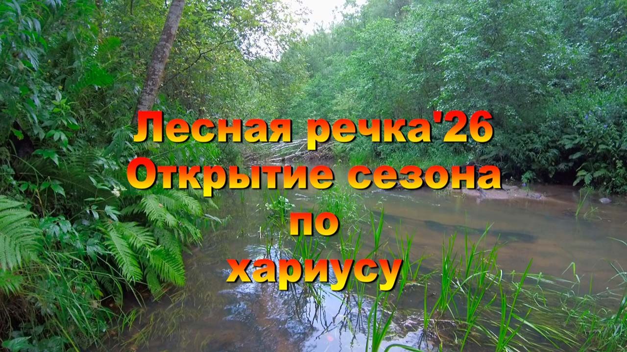 Лесная речка'26. Открытие сезона по хариусу смотреть онлайн