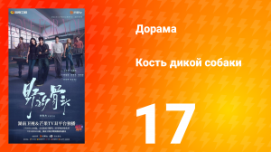 Кость дикой собаки 17 серия