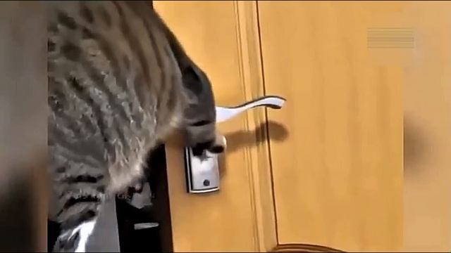 Всячинки смотреть онлайн