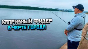 Ока в городе — ловим леща на фидер: тактика, прикормка, результат