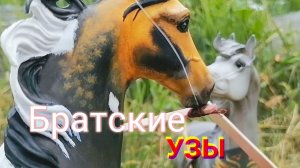 Сериал Breyer. Братские узы. Серия 3.