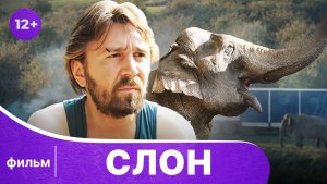 Слон. Фильм. Приключенческая комедия. Смотреть онлайн в хорошем качестве